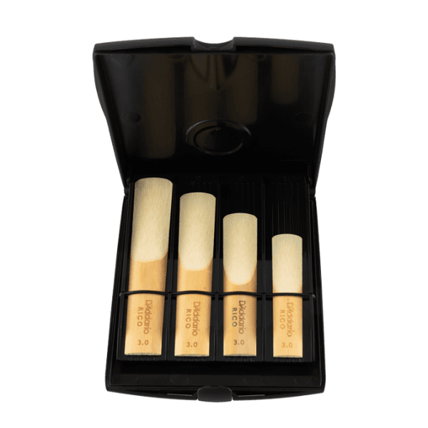 D'Addario RVCASE04 R&oslash;retui